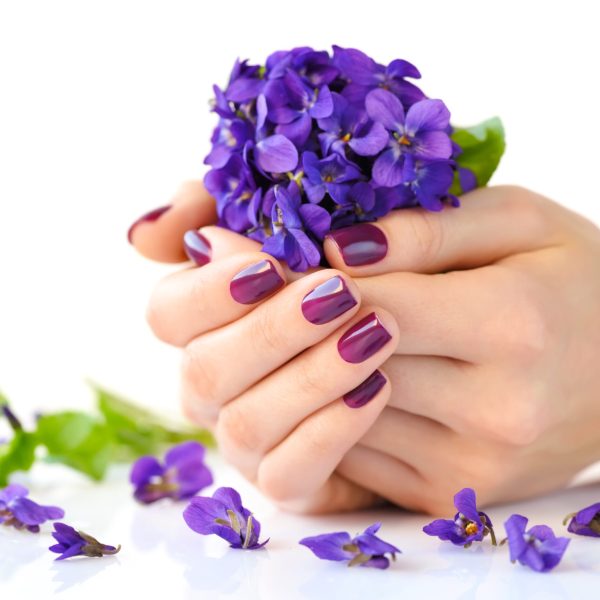 Hands of a woman with dark manicure on nails and bouquet of violets on a white background