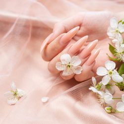 Elegant pastel pink natural manicure. Female hands  with Cherry blossom flowers  on pink silk background.